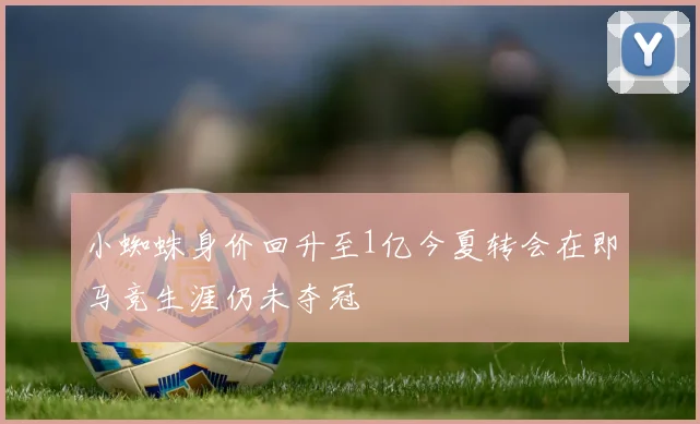小蜘蛛身价回升至1亿今夏转会在即马竞生涯仍未夺冠